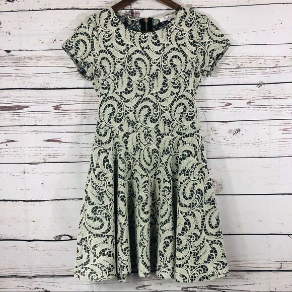 Parker Fawn Fit and Flare Mini Lace Crochet Dress XS - Picture 1 of 8